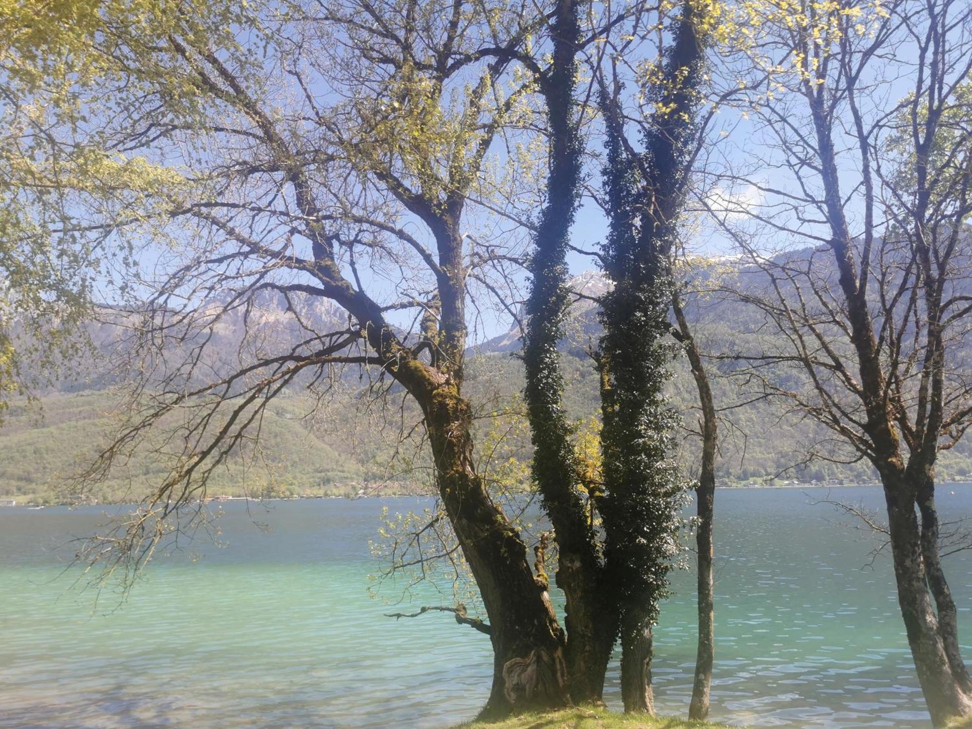 Charmant Appartement A 1 Minute Du Lac Annecy Esterno foto